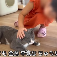 テロップ「5歳児にも～」