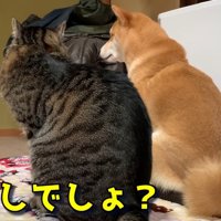 仲良しでしょ？