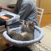 コードにイタズラ