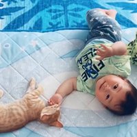 赤ちゃんの親指を咥える猫