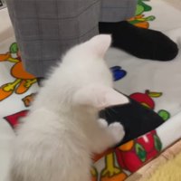 後ろ姿