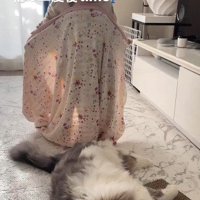 毛布を持ってきた子どもと猫