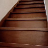 階段の上に現れた猫のシルエット