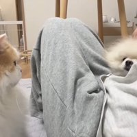 集合