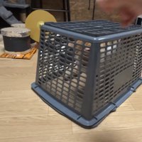 罠の中にいる猫の写真1