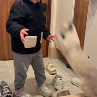 抱きつきに行く猫