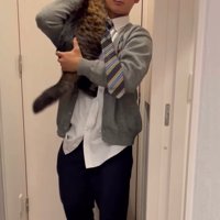 抱っこされる猫