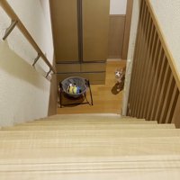階段の下
