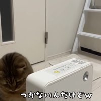 つかない