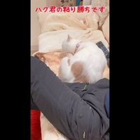 ハク君の粘り勝ち