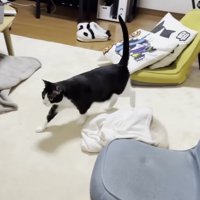 おやつに気づいたひまわり