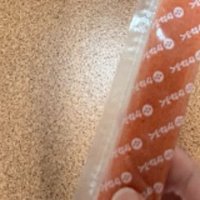 キッチンにいる猫