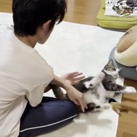 猫と男性