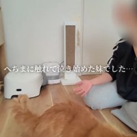 へちまに触れて