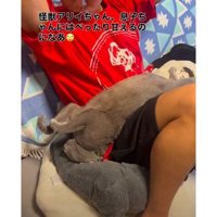 男の子と猫