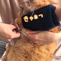 きゃぁっ