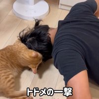 トドメの一撃