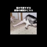 立ち上がった姿