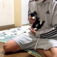 抱っこ途中