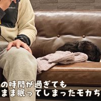 テロップ「ご飯の時間が過ぎても～」