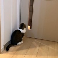 ドア越しに