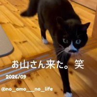 カメラのすぐ近くまで歩いてきたあもちゃん