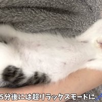 超リラックスモード