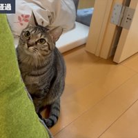 保護して7ヶ月