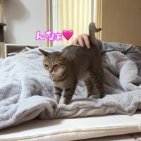 んなぁ♡