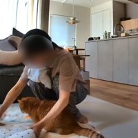 準備中