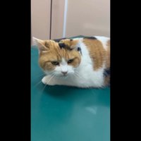 顔のアップ