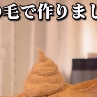 抜け毛で作ったウンチ