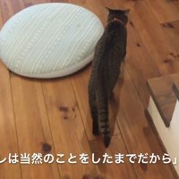 当然のことをしたまでだから