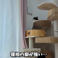 テロップ「寝相の癖が～」
