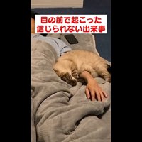 丸まった姿