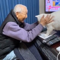 顔をなでられる猫