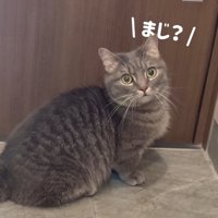 まじ？