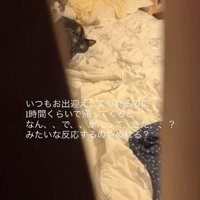 ドアの隙間からカメラを見つめる2匹の猫（引き・左寄り見切れ）