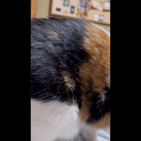 下半身アップ