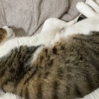 満足そうなミックくん