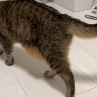去って行く姿