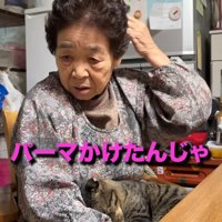 おばあちゃんと猫