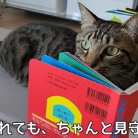 テロップ「少し離れても、～」