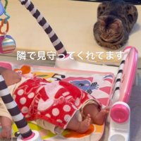 床に寝転がっている赤ちゃんのそばに座る猫