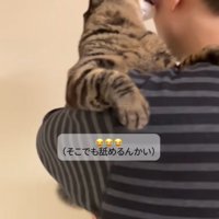 頬を舐める猫