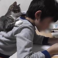 男の子の背中に乗っている子猫