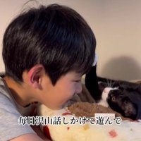 猫に話しかける男の子
