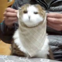 クルンと首にスタイを巻き付ける