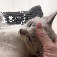 よき…