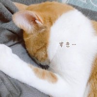 すき…